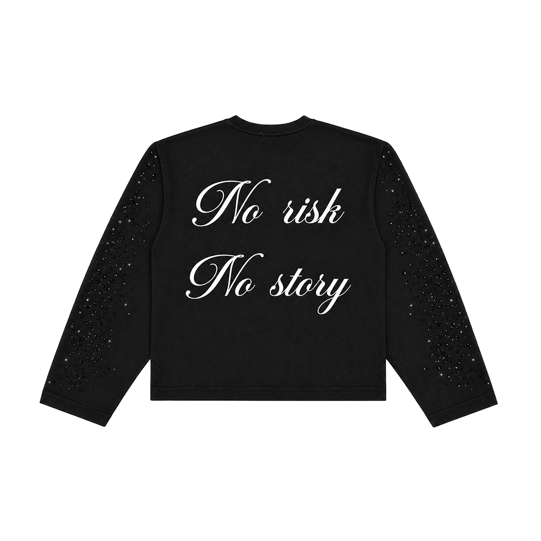 Longsleeve "No risk No story"